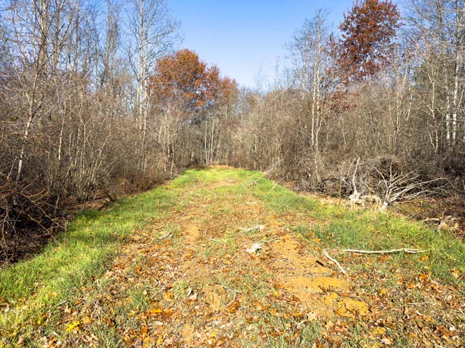 aerial view of 83-acre Belmont County property
