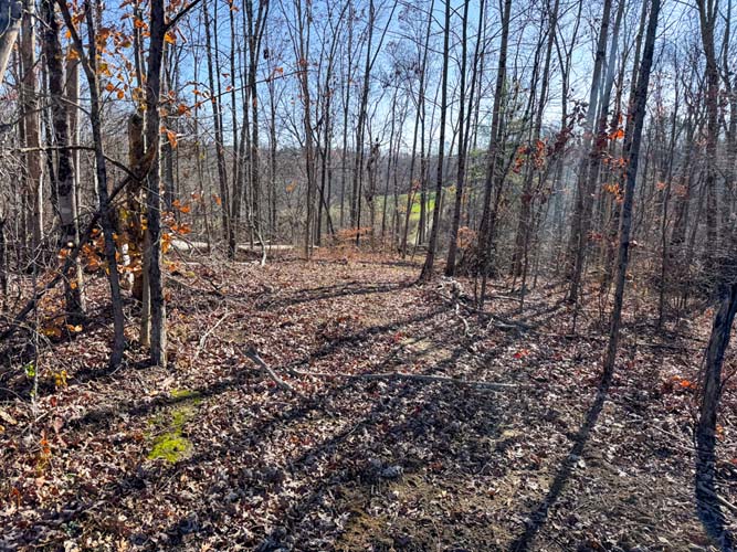 scenic hills and woodland of Belmont County Ohio