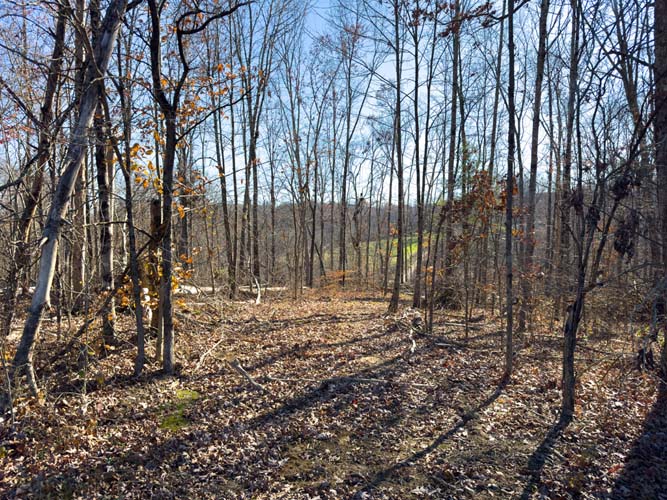 natural deer trails across ridges