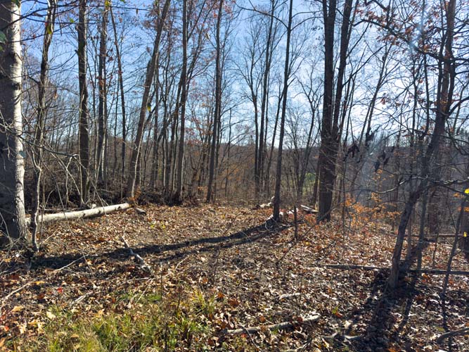 wooded bench terrain for stand placement