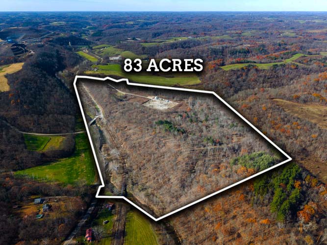 forest interior with natural cover