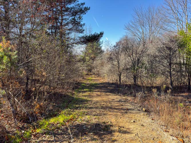 cleared ground ideal for cabin or food plot