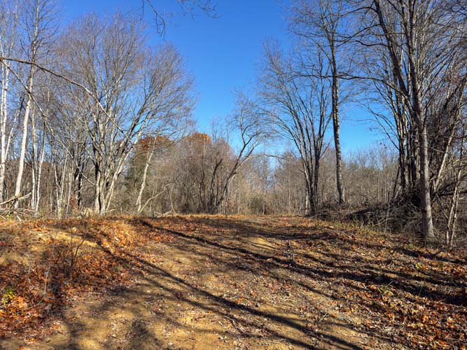 level bench terrain on hunting property