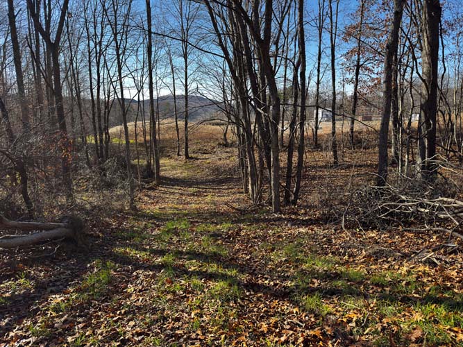 timbered valley and ridge system