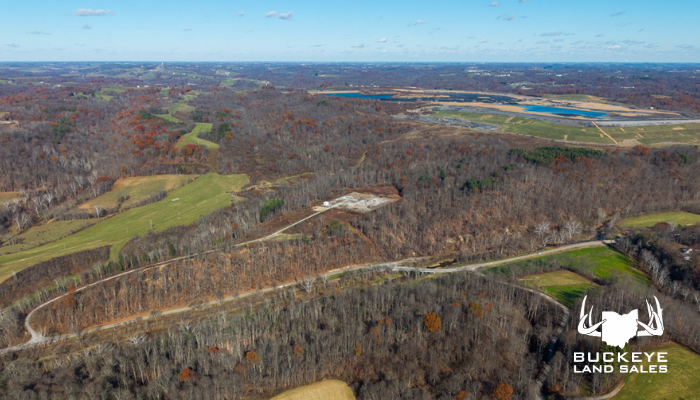 83.29 +/- Acres, Alledonia, OH 43902