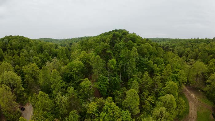 aerial view of timberland in Lawrence County