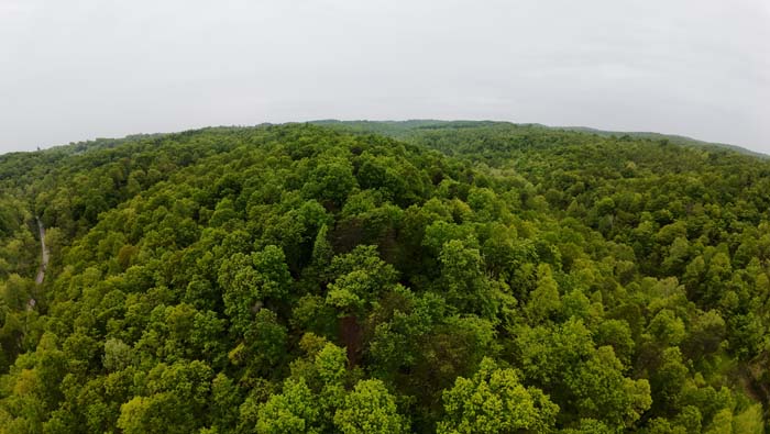 land for sale near Lake Vesuvius Ohio