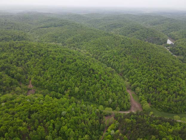 wooded trail on 26 acres for sale