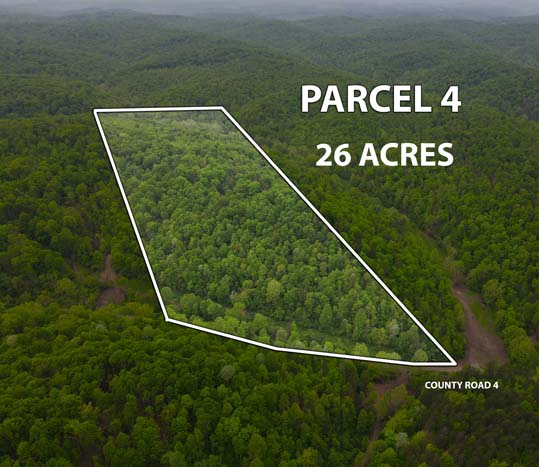 hillside view near Wayne National Forest