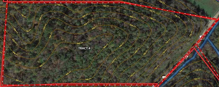 dense timber and natural cover