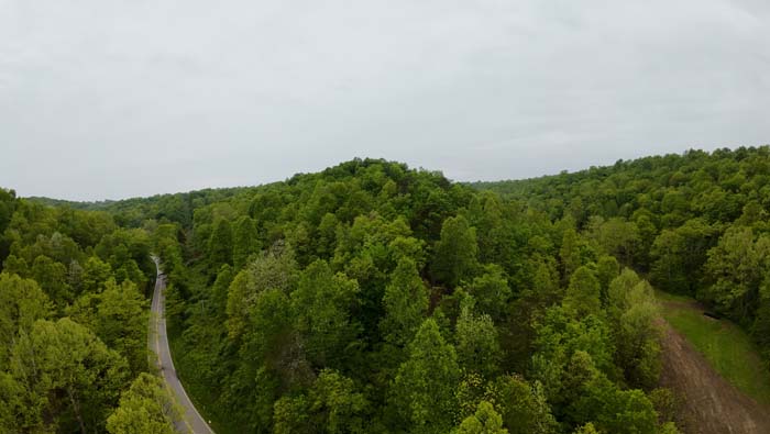deer tracks and hunting habitat Ohio
