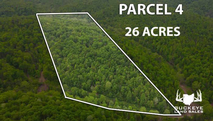 County Road 4 26.411+/- Acres, Pedro, Ohio, 45659