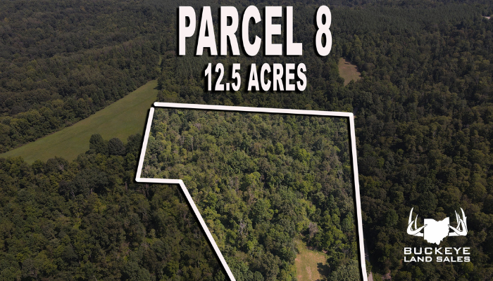 Crooked Tree Road 12.6 +/- Acres, Jackson Township, OH 45727