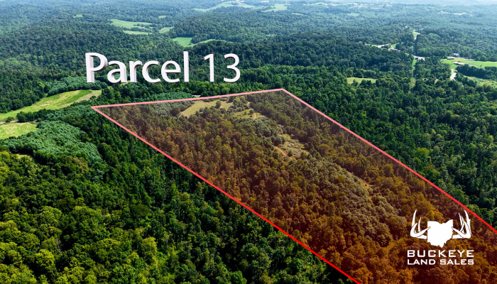 Crooked Tree Road 46.5 +/- Acres, Jackson Township, OH 45727