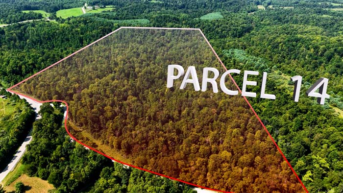 Ridgetop view with mature hardwood forest