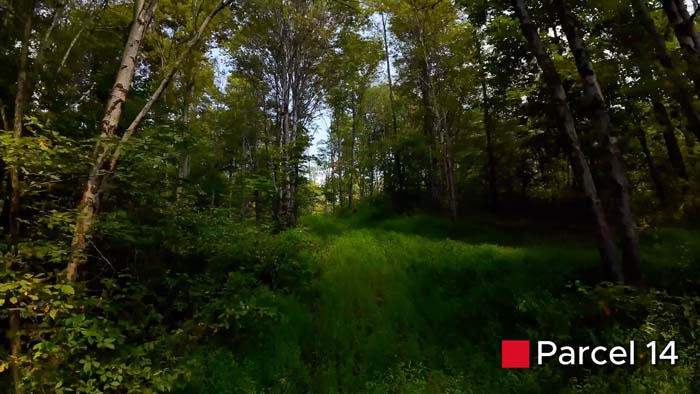 Private homesite location with road access