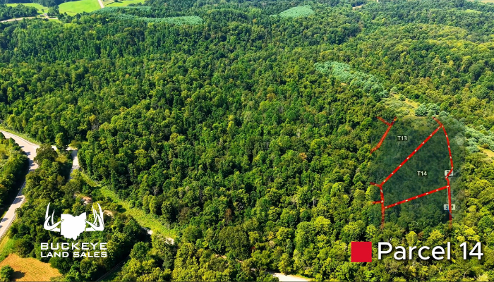 39.4 +/- Acres,  Dexter City, OH 45727