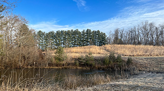 49 Acre lot with a pond