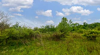 Ohio Land for Sale Halleys Ridge Road