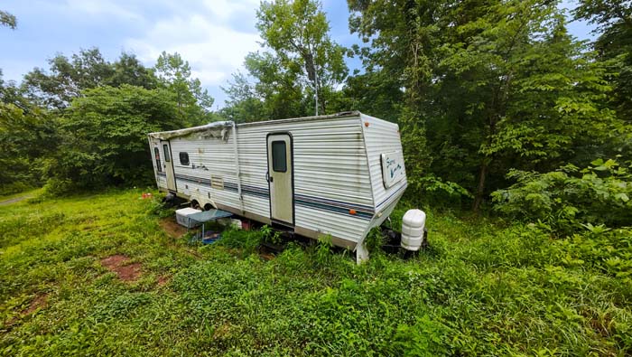 dense timberland near access road