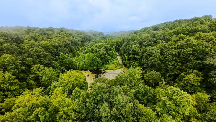 wooded acreage along Jefferly Road