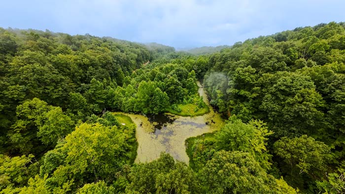 open field on Jefferly Road property