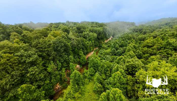 16+/- Acres, Dexter City, OH