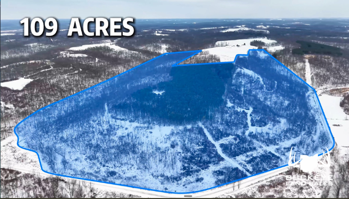 109.7+/- Acres, Caldwell, OH 43724