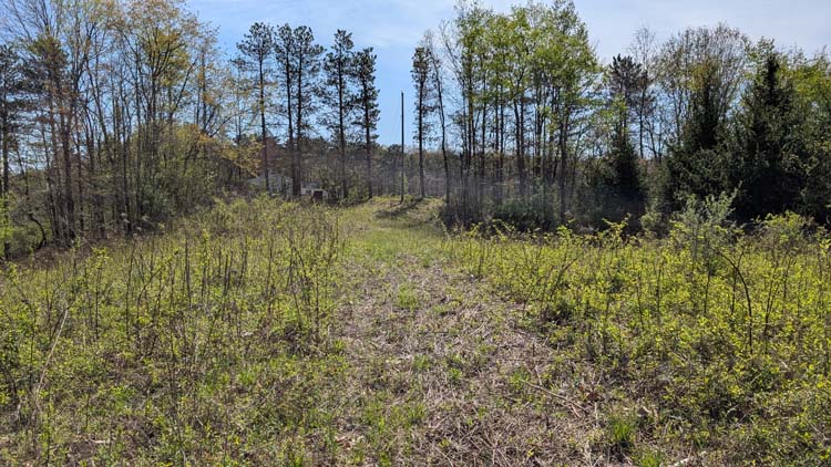 Private wooded home site on 5.282 acres in Athens Township