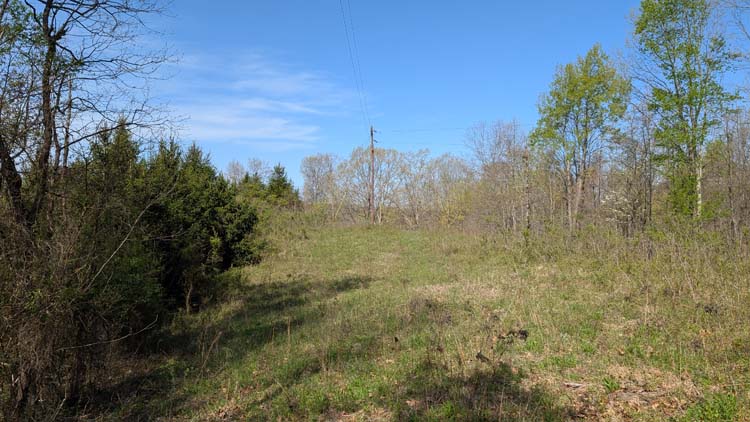 Open space ideal for cabin or home rental in Athens County