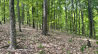 0 Liberty Hill Road lot