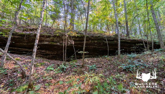 Limerick Rd 71.226+/- Acres, Jackson Ohio 45640
