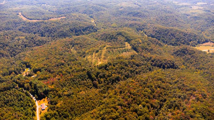 Aerial showing mix of timber and open areas