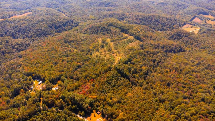 Clearing along ridge suitable for food plots