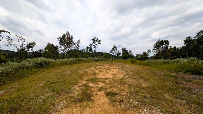 View toward protected preserve on neighboring tract