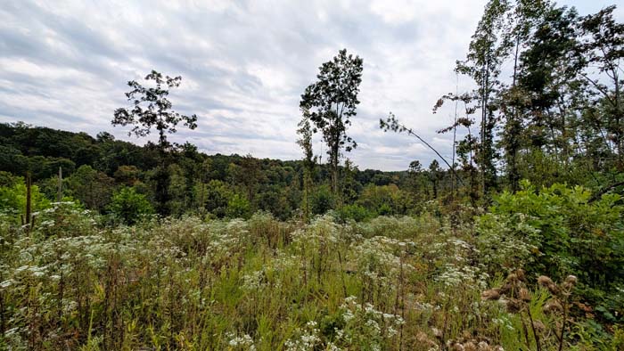 Elevated ridge top on 71-acre tract