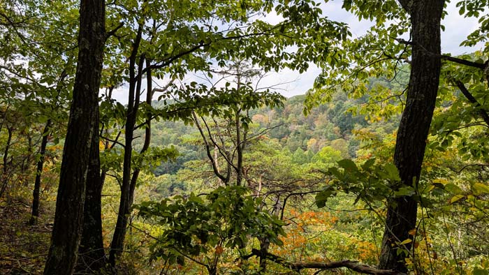 Ridgetop opening with panoramic views
