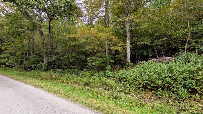 Trail intersection through oak forest