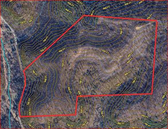 Potential homesite with privacy
