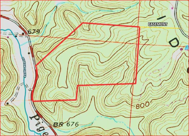 Tree line defining property edge