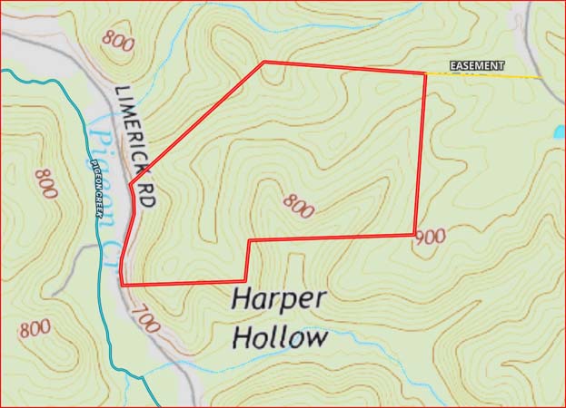 Wooded trail near McCune-Cemetery Road easement