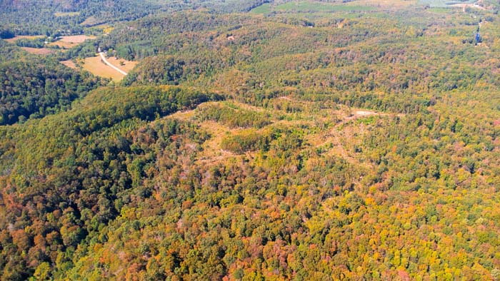 Trail through hardwood forest on Limerick Road property