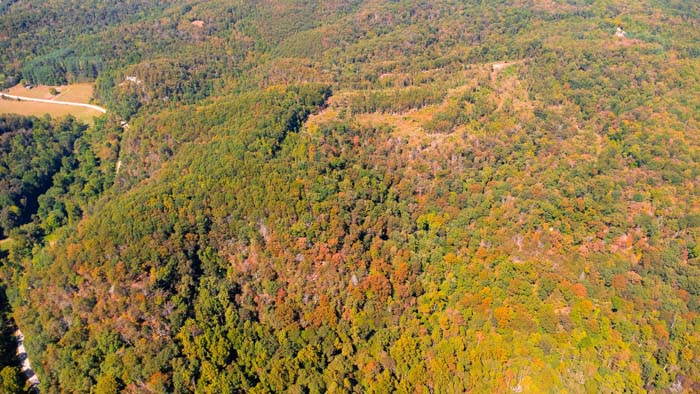 Elevated ridge with scenic forest views