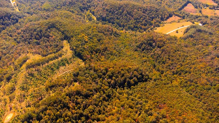 Wooded hunting setup location
