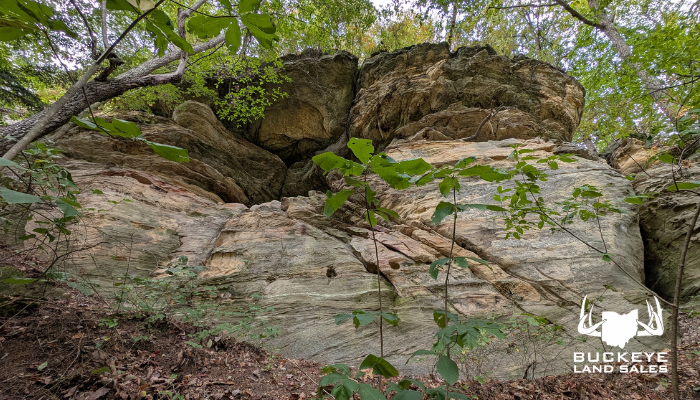 Limerick Road 45+/- Acres, Jackson, Ohio