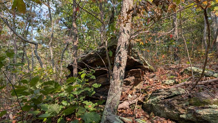Gravel driveway entrance