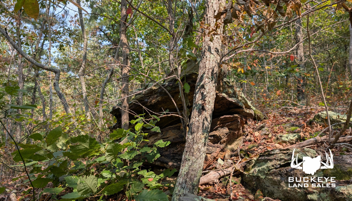 18.44+/- Acres, Jackson, Ohio 45640