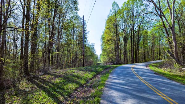 Wooded property bordering wildlife area