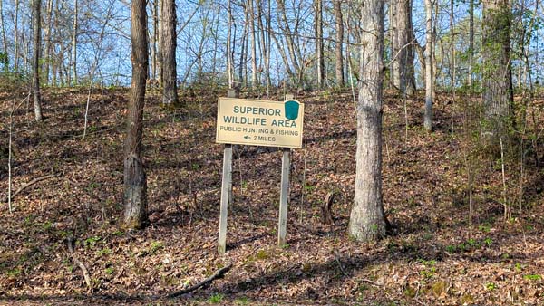 Hardwood timber across rolling terrain Vinton County Ohio