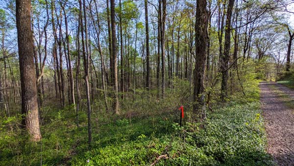 Paved road frontage along Murphy Remy Road property